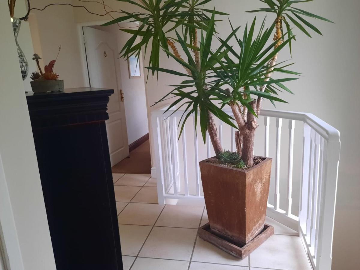 6 On Protea Bed & Breakfast Knysna Bagian luar foto
