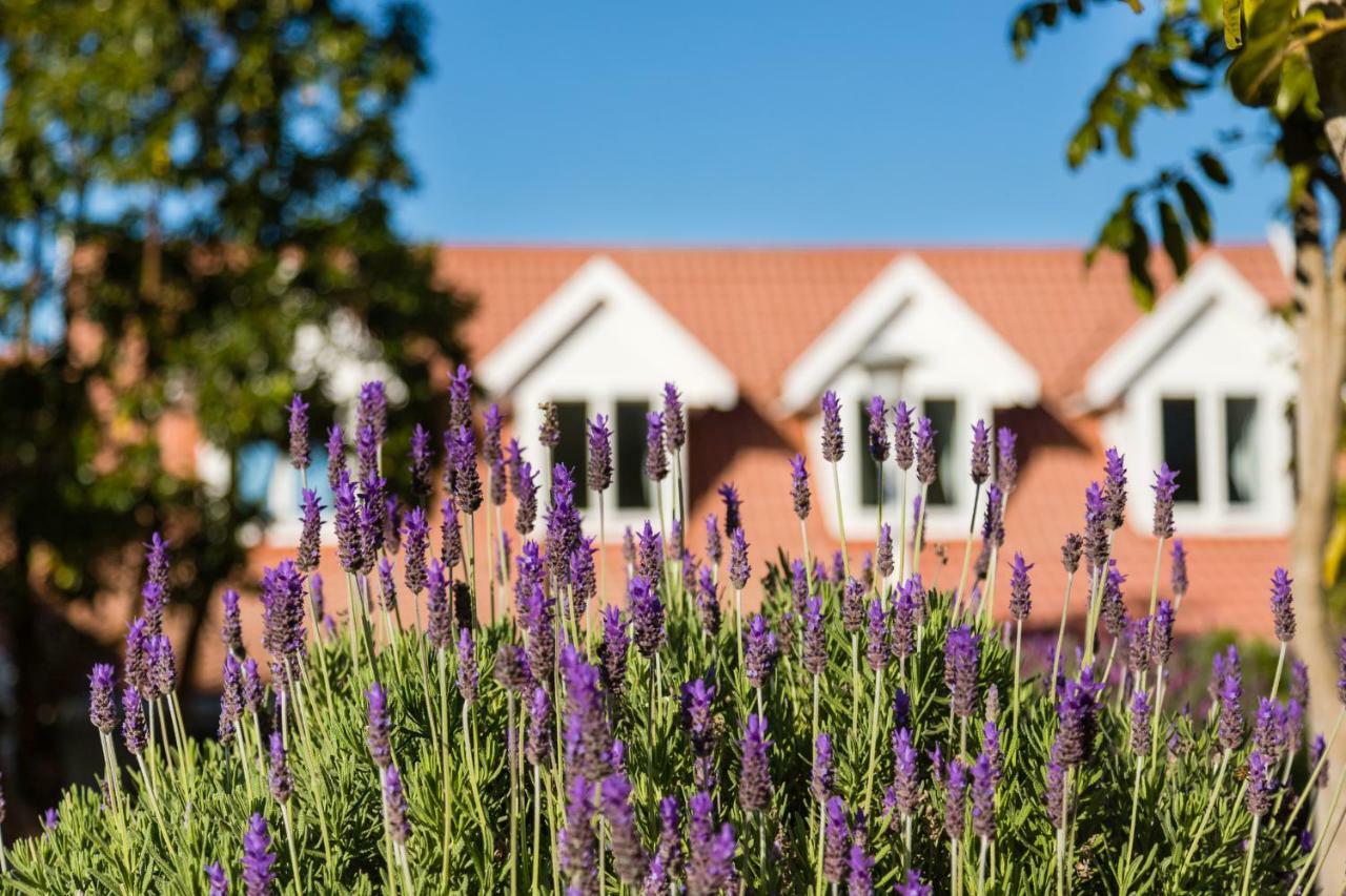 6 On Protea Bed & Breakfast Knysna Bagian luar foto
